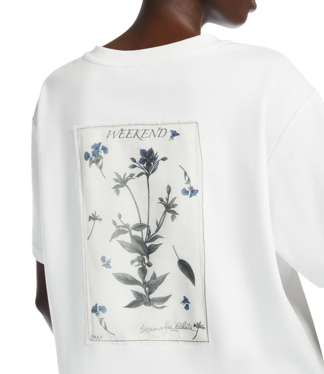 Max Mara Weekend T-shirt Lecco Bianco Donna